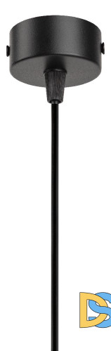 Подвесной светильник Эра PL19 BK Б0058492