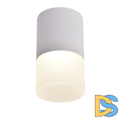 Накладной светильник Favourite Naram 3069-1C