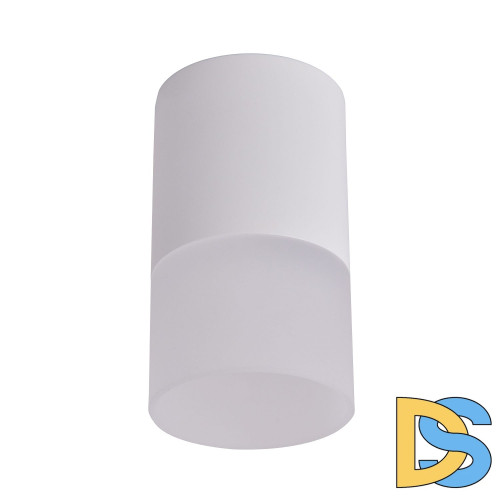 Накладной светильник Favourite Naram 3069-1C