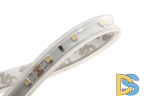 Светодиодная лента DesignLed DSG360-12-W-65 000262