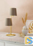 Настольная лампа Eglo Almeida 2 99611