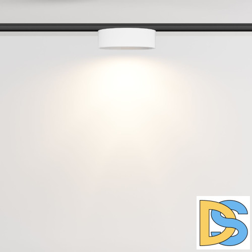 Трековый магнитный светильник Maytoni Zon TR189-1-12W3K-BW