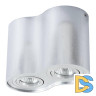 Потолочный светильник Arte Lamp A5644PL-2SI