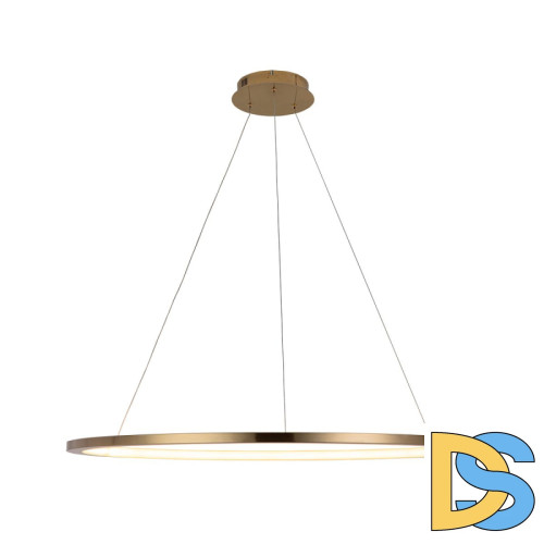 Подвесной светодиодный светильник Loft IT Ring 10014XL