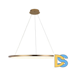 Подвесной светодиодный светильник Loft IT Ring 10014XL