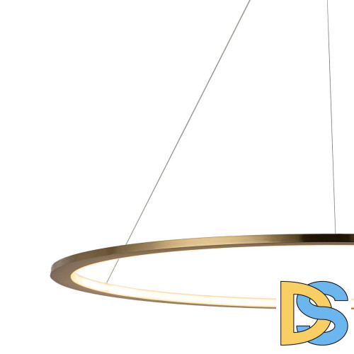 Подвесной светодиодный светильник Loft IT Ring 10014XL