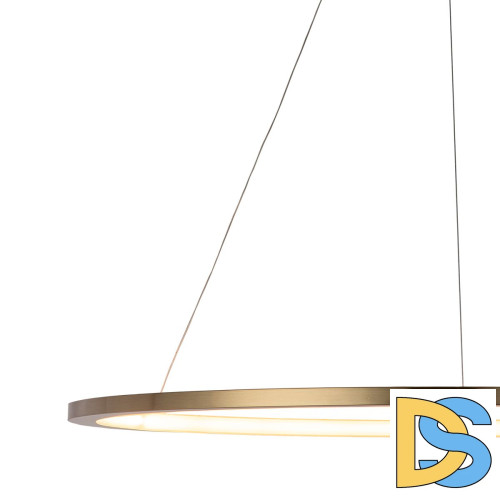 Подвесной светодиодный светильник Loft IT Ring 10014XL
