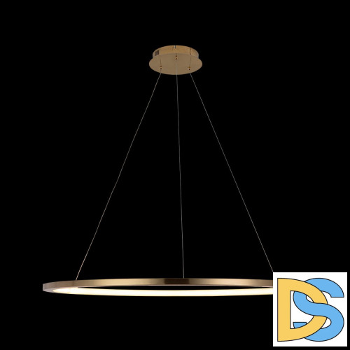 Подвесной светодиодный светильник Loft IT Ring 10014XL