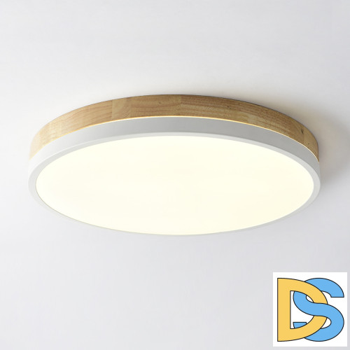 Потолочный светильник ImperiumLoft Disc 189897-26