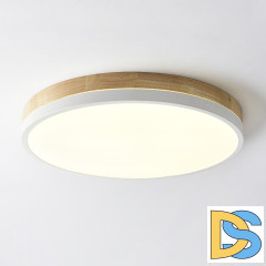 Потолочный светильник ImperiumLoft Disc 189897-26