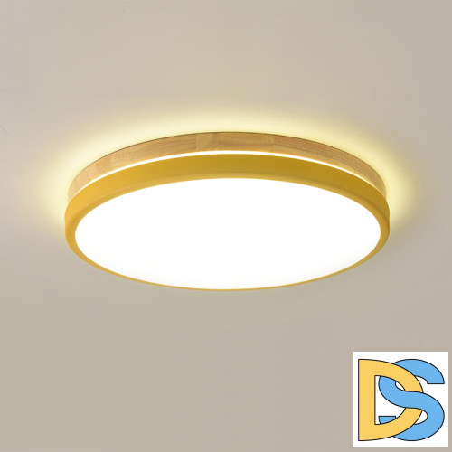 Потолочный светильник ImperiumLoft Disc 189897-26