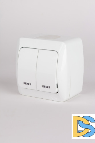 Выключатель двухклавишный с подсветкой ELBI Alsu 504-010200-203