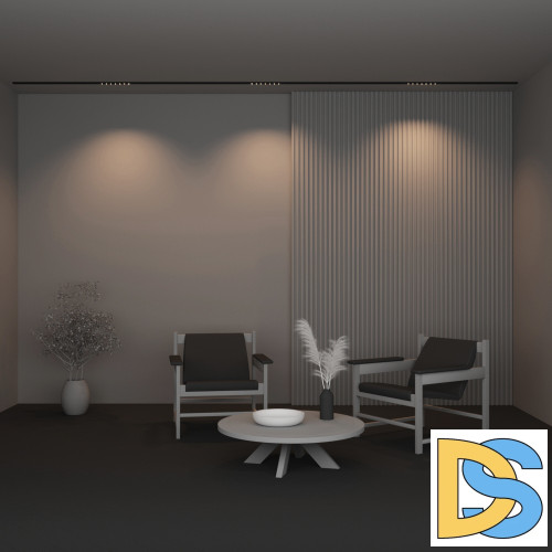 Трековый магнитный светильник Maytoni Points TR174-1-12WTW-M-B