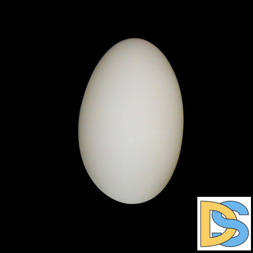 Настенный светильник Lightstar Sferetta 801600