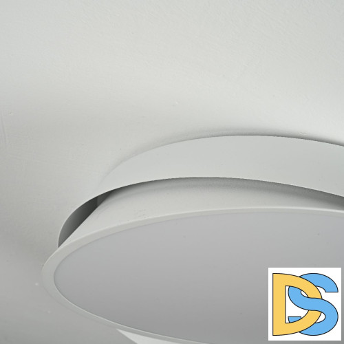 Потолочный светильник ImperiumLoft Shell 102036-26