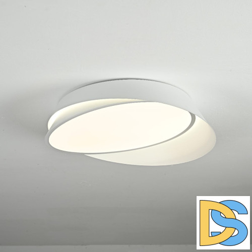 Потолочный светильник ImperiumLoft Shell 102036-26