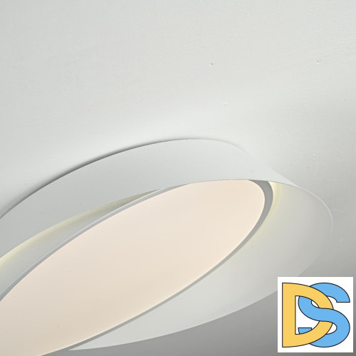 Потолочный светильник ImperiumLoft Shell 102036-26