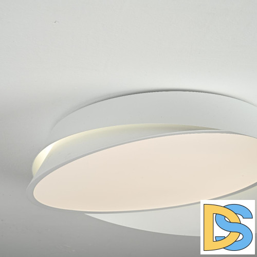 Потолочный светильник ImperiumLoft Shell 102036-26