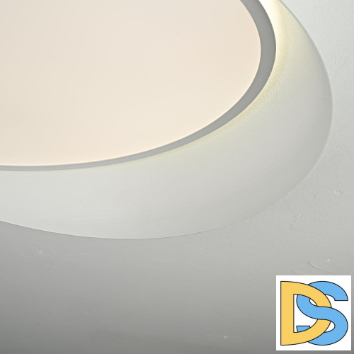 Потолочный светильник ImperiumLoft Shell 102036-26