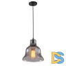 Подвесной светильник Arte Lamp Amiata A4255SP-1SM