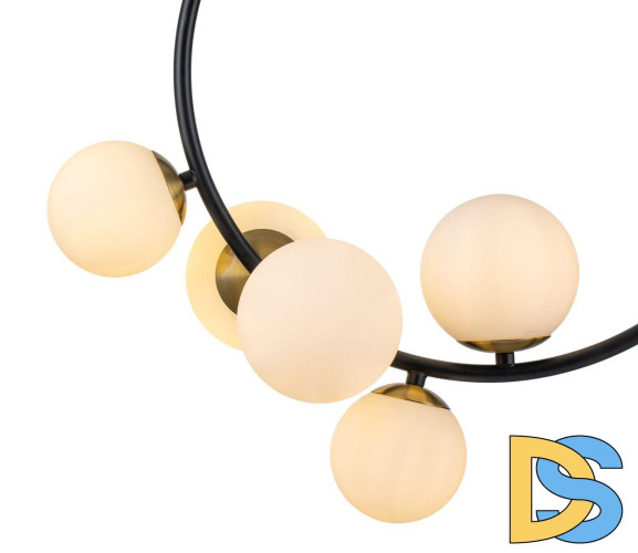 Подвесная люстра Indigo Nuvole 11002/6P Black V000088