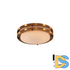 Настенно-потолочный светильник Citilux Бостон CL709203N