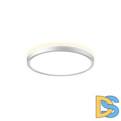 Потолочный светильник Citilux Norma CL748240