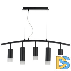 Подвесной светильник Lightstar Rullo LR7353738721 (571735+214437-3+214487-2+202431-5)