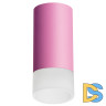 Накладной светильник Lightstar Rullo R43231 (214432+202431)