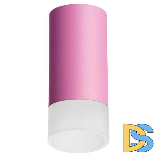 Накладной светильник Lightstar Rullo R43231 (214432+202431)