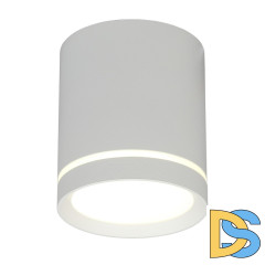 Накладной светильник Omnilux Capurso OML-102429-05