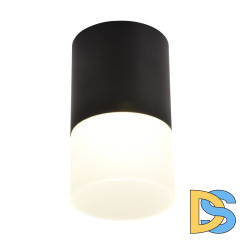 Накладной светильник Favourite Naram 3070-1C