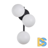Бра Zortes Blume ZRS.1777.03