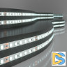 Светодиодная лента Elektrostandard 24V 8W 120Led 2116 IP20 холодный белый 5м 4690389176685