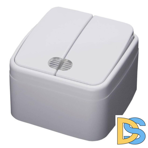 Выключатель двухклавишный Feron Stekker Basic с подсветкой PSW103220 39030