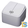 Выключатель двухклавишный Feron Stekker Basic с подсветкой PSW103220 39030