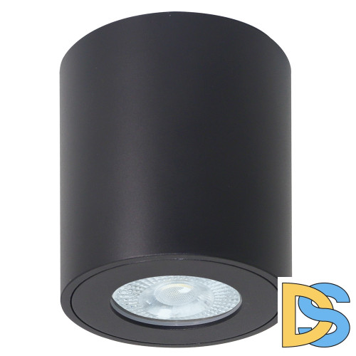 Накладной светильники Arte Lamp Tino A1469PL-1BK