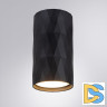 Накладной светильник Arte Lamp Fang A5557PL-1BK