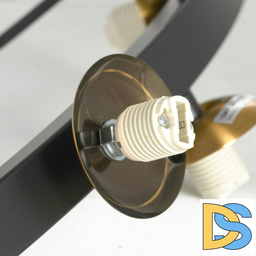 Подвесная люстра Lussole LSP-8750