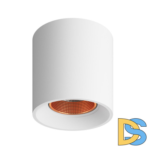 Накладной светильник Denkirs Dk3040 DK3090-WBR