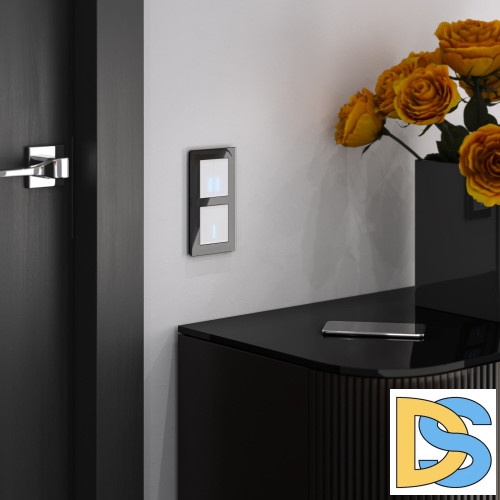 Сенсорный Выключатель двухклавишный Werkel с подсветкой 1000 Вт (белый) W4520001