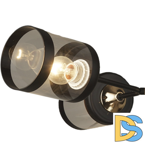 Люстра на штанге Reluce 03592-0.3-04 FGD+BK