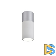 Накладной светильник Favourite Deepak 3071-1C