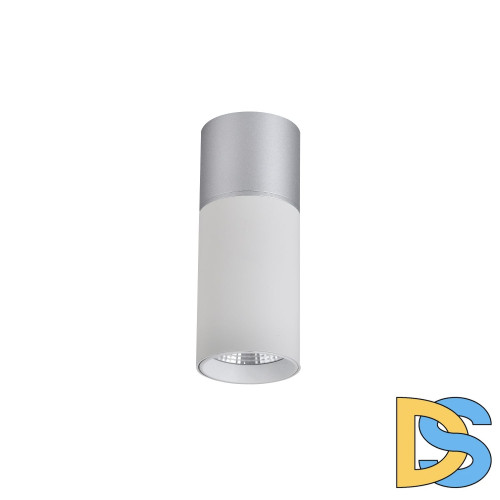 Накладной светильник Favourite Deepak 3071-1C