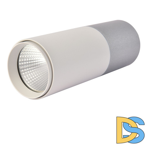 Накладной светильник Favourite Deepak 3071-1C