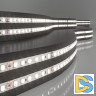 Светодиодная лента Elektrostandard 24V 8W 120Led 2116 IP20 дневной белый 5м 4690389176630