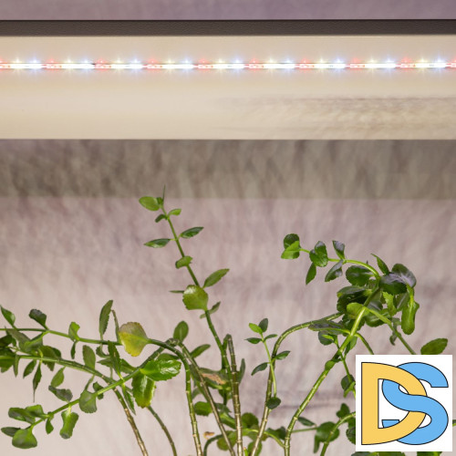 Светодиодная лента для растений Эра FITO-Strip Light-Rа90-27W-3m-12V-IP65 4000K Б0064597