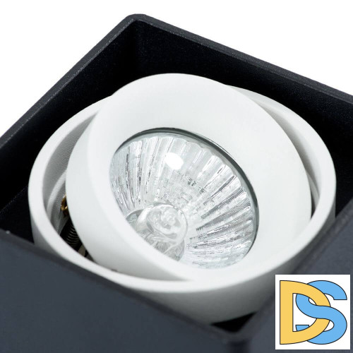 Потолочный светильник Arte Lamp A5655PL-1BK