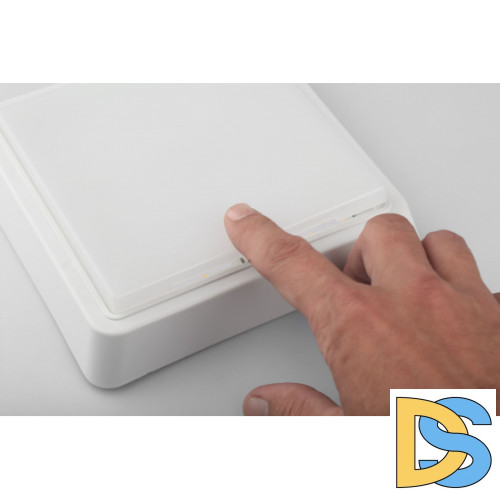 Настенно-потолочный светильник ЭРА SPB-4-10-4K Б0036420