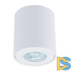 Накладной светильники Arte Lamp Tino A1469PL-1WH